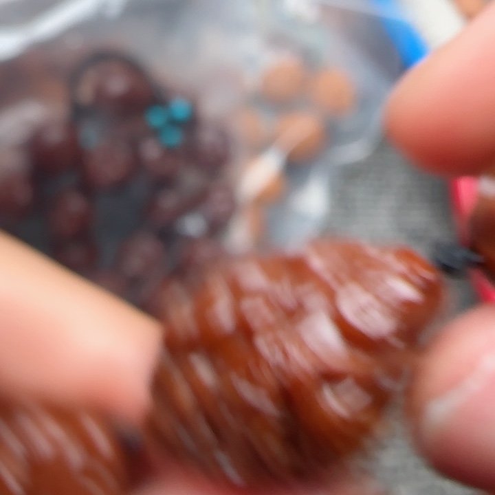 橄榄核吊坠橄榄菜等经济作物