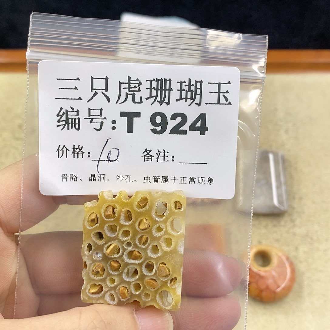 硅化珊瑚（珊瑚玉）1未镶嵌女***娆