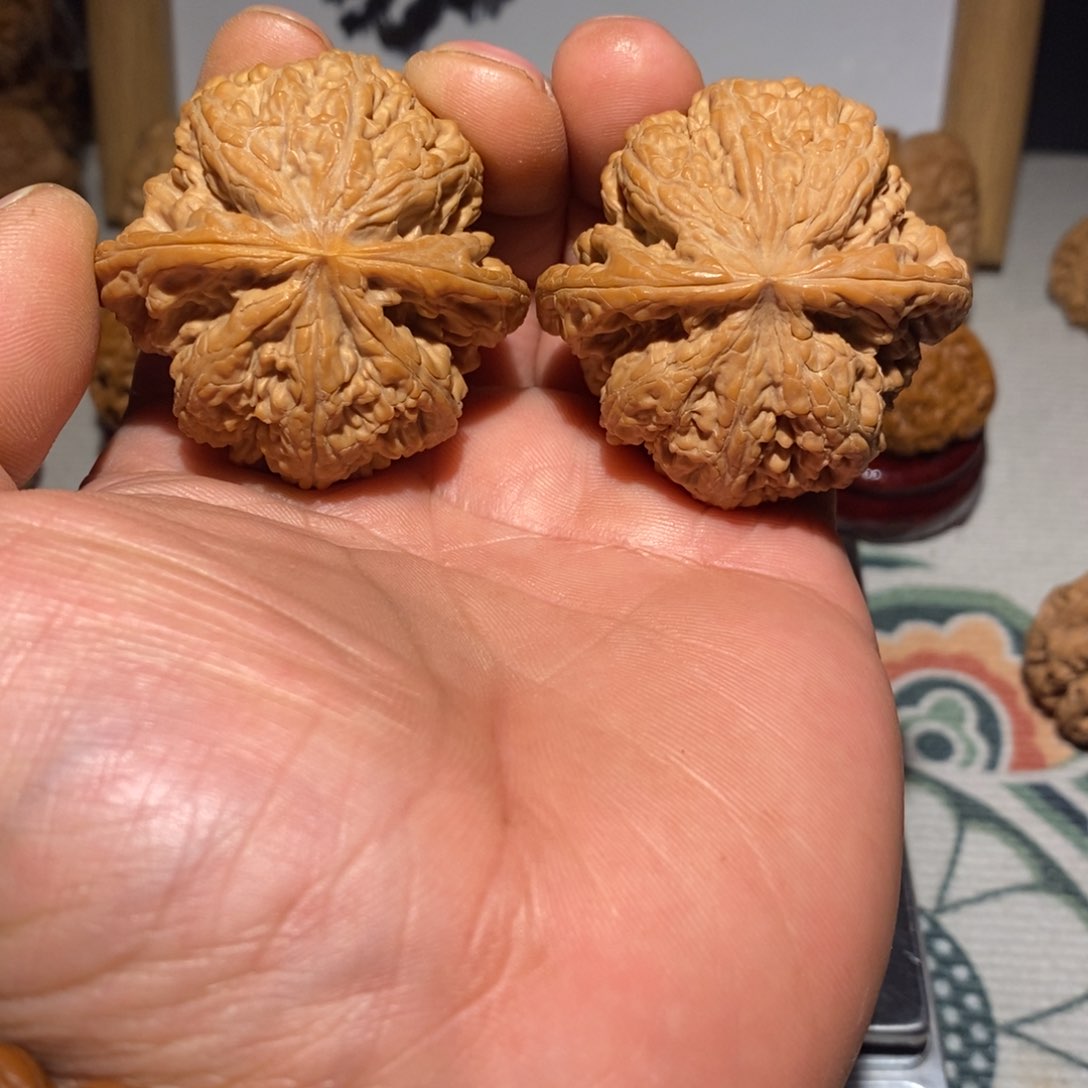 文玩核桃把件47尺平谷大粗筋