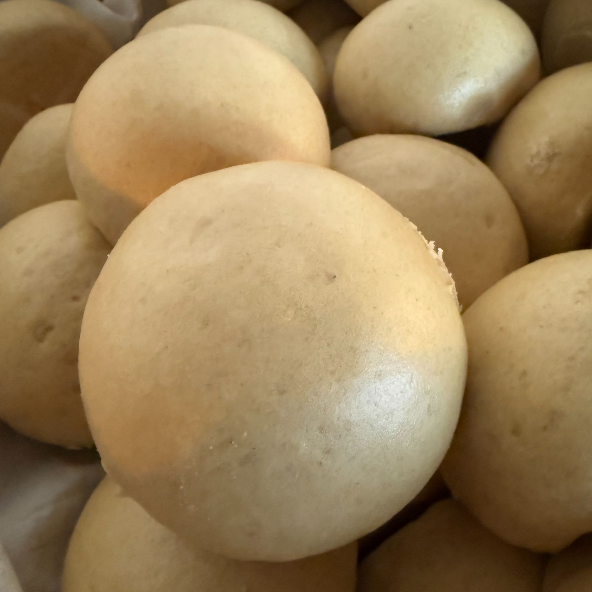 长林精选/全麦面粉/手工揣碱大馒头/花卷/红豆包/京东包邮