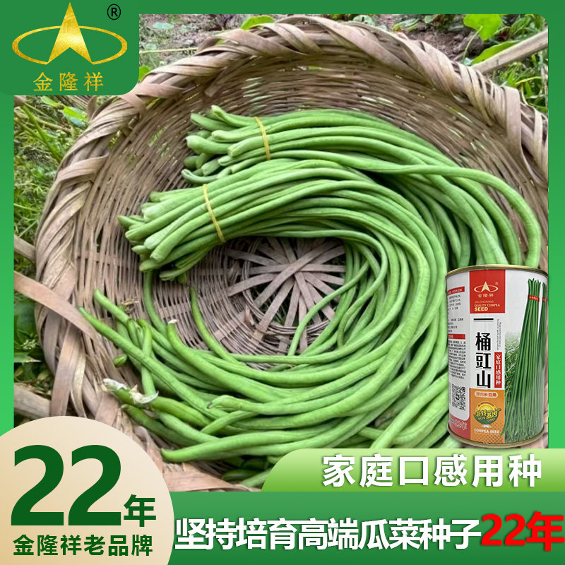 一桶豇山耐热长豆角豇豆种子农家菜园家庭阳台蔬菜种籽金隆祥