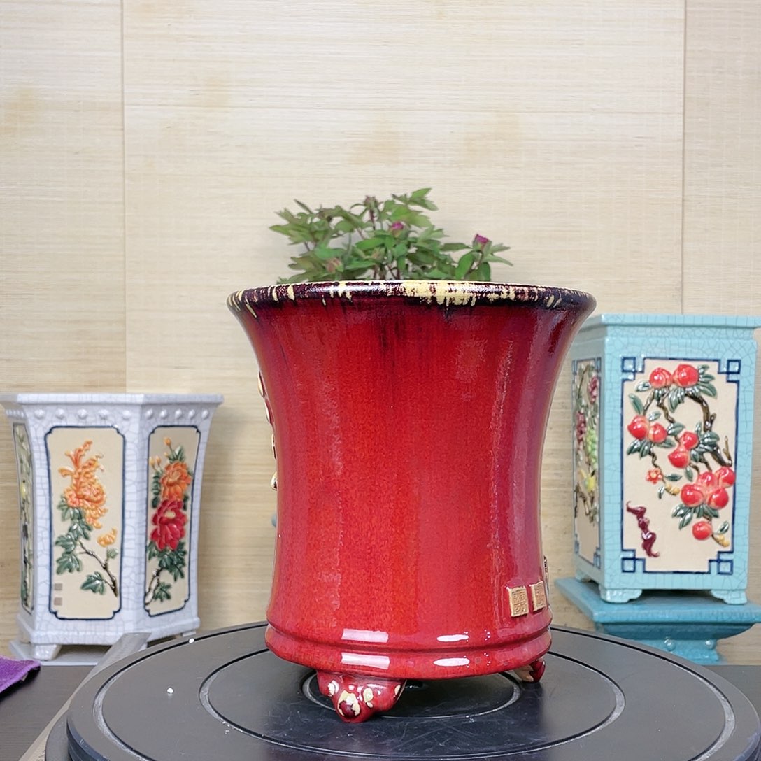 红陶非*年石湾湾湾湾湾盆