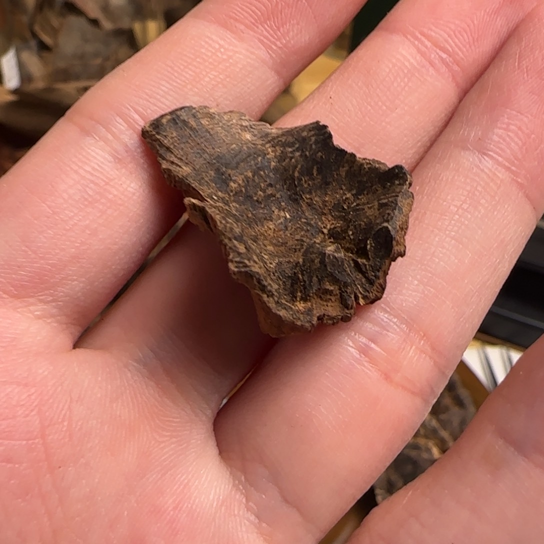 海南根油凉花韵高沉香1.1克