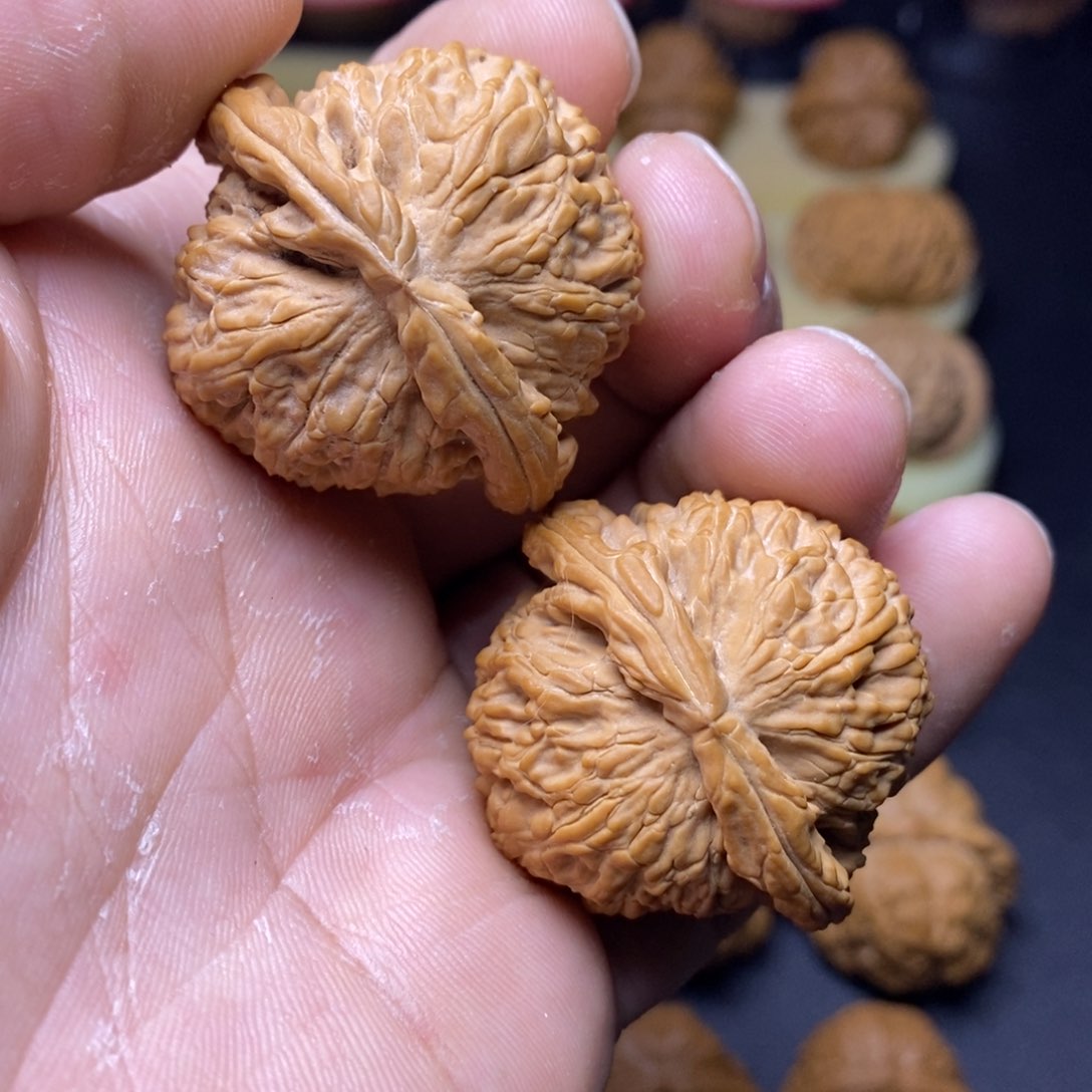 文玩核桃把件40全品白狮子头