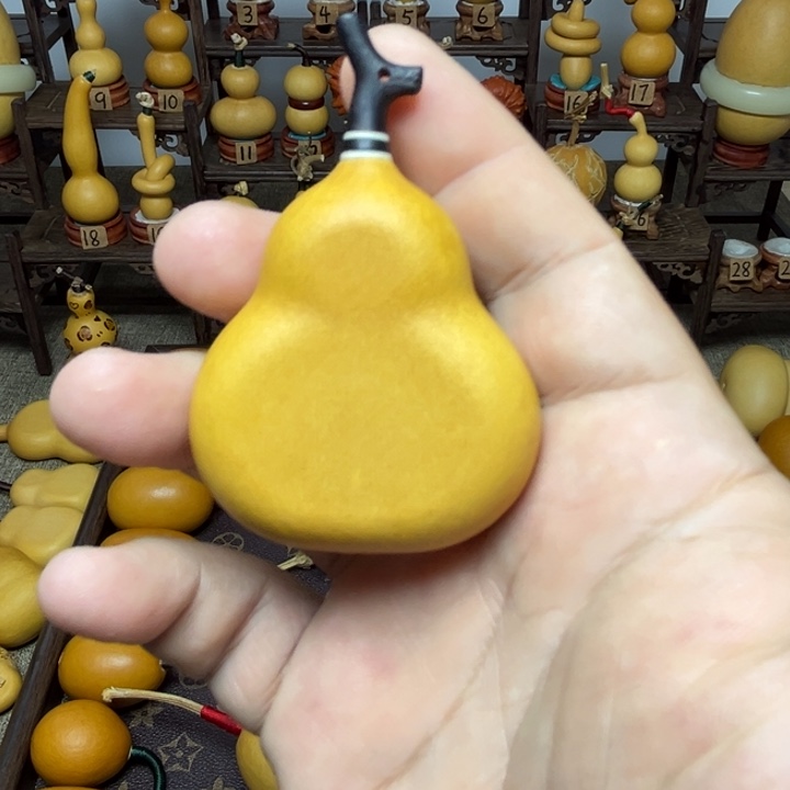 ෆ***ɞ三角夹扁，厚皮响籽