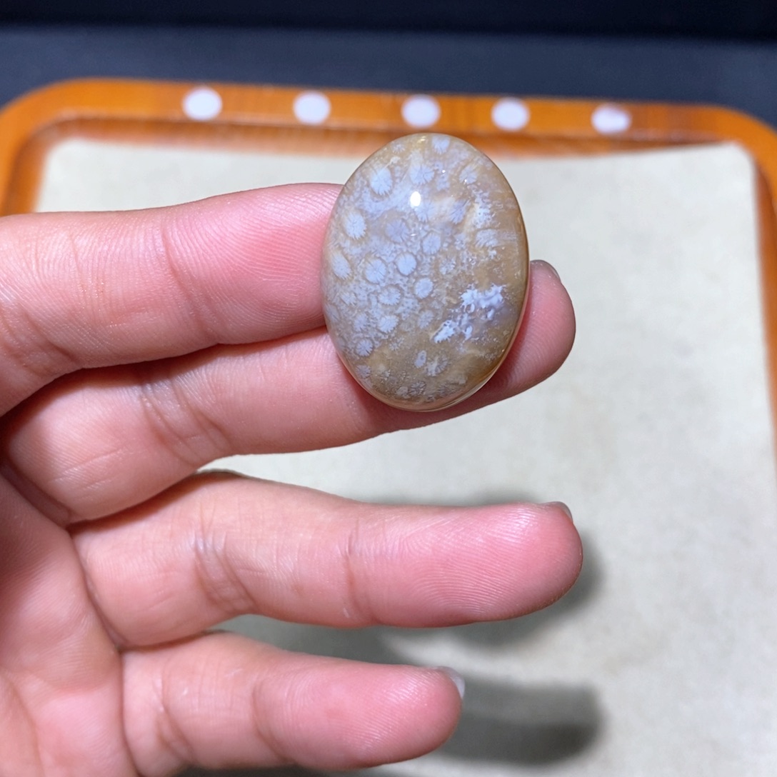 【闪购商品】硅化玉颈饰足银镶嵌
