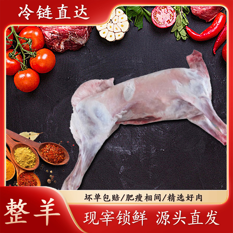  新鲜新疆整羊/半羊/产地直发