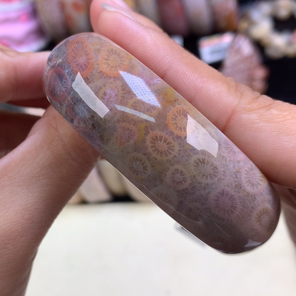 【闪购商品】颈饰未镶嵌硅化珊瑚（珊瑚玉）30号莫奈花园55.6圈