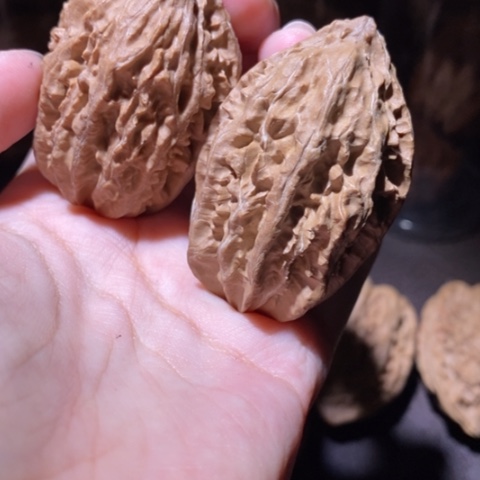 把件文玩核桃东北野生楸子小园 105