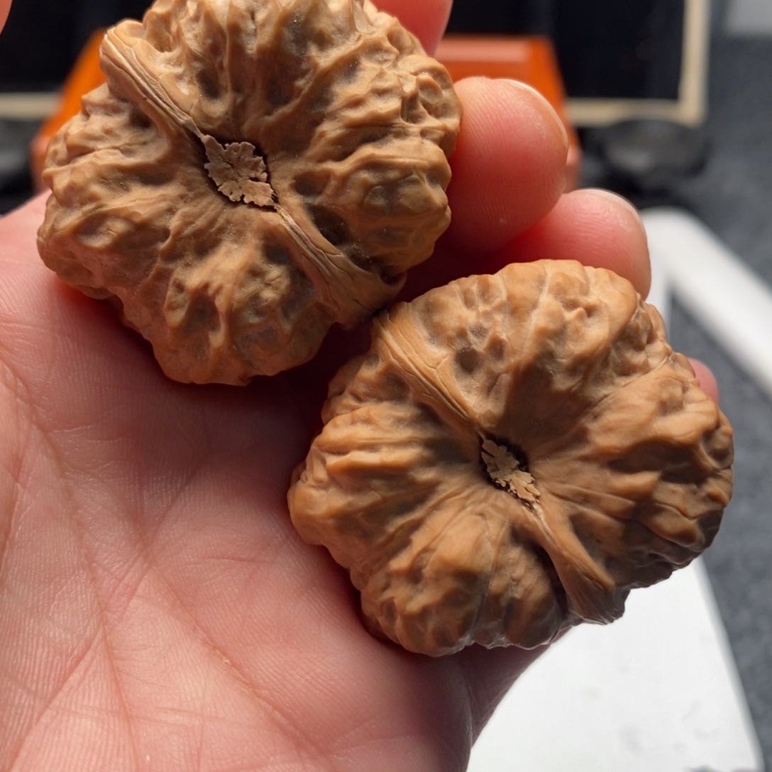 醋***子好的我真的是太喜欢了