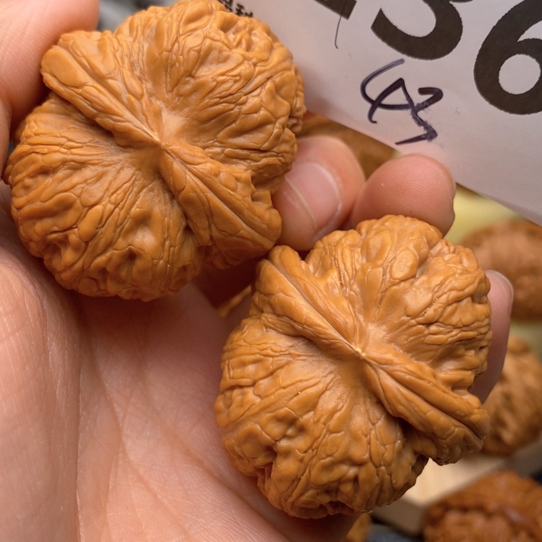 文玩核桃把件236号43全元宝