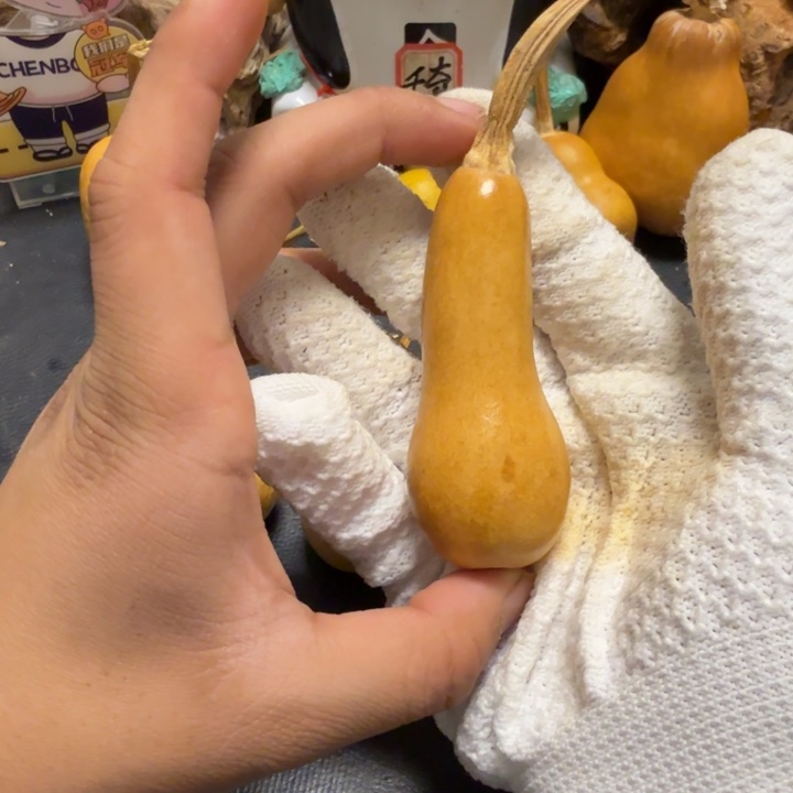 一***布6…………………………………………