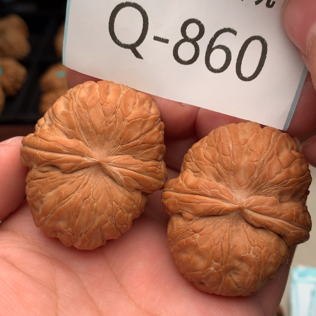 文玩核桃把件我**良44元宝………