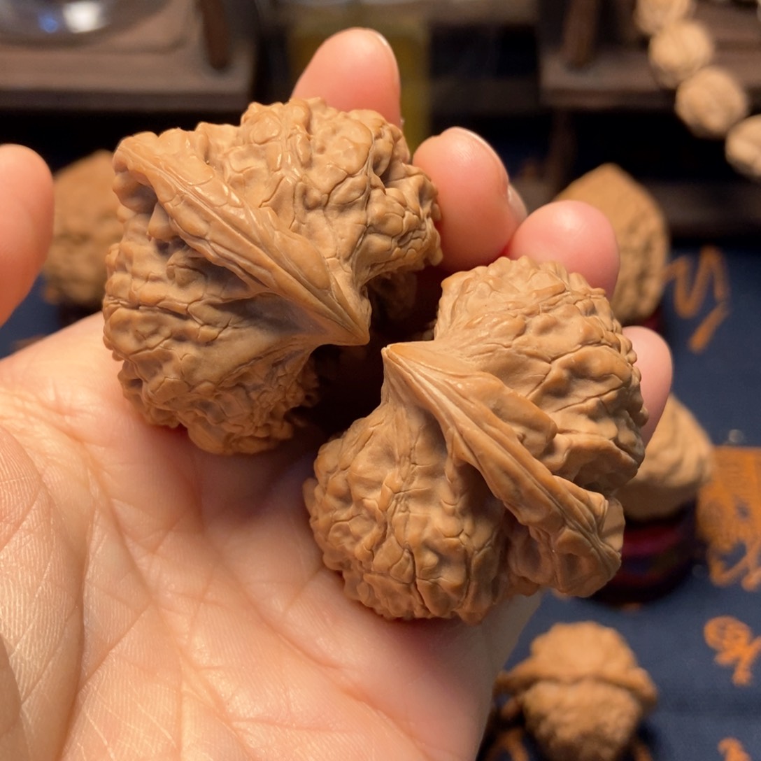 文玩核桃把件官帽鹰嘴尺寸68