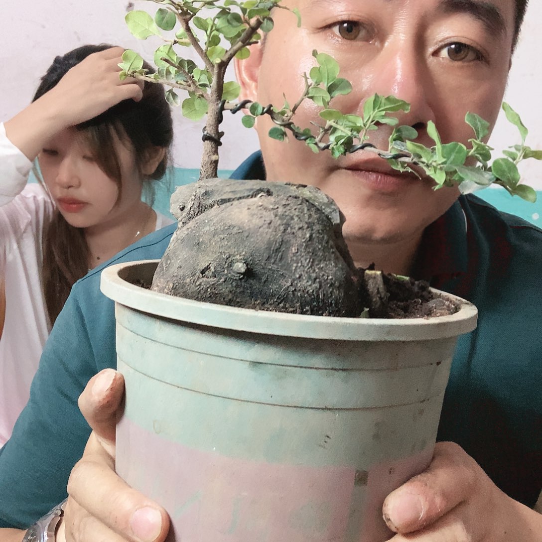 金弹子是一种什么体验？