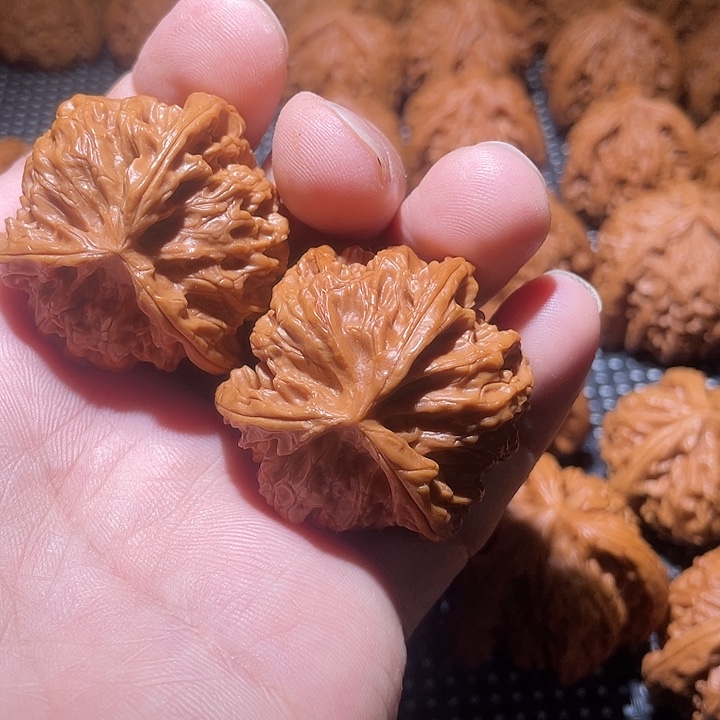 杨***燊大叶紫檀（黑酸枝木类）