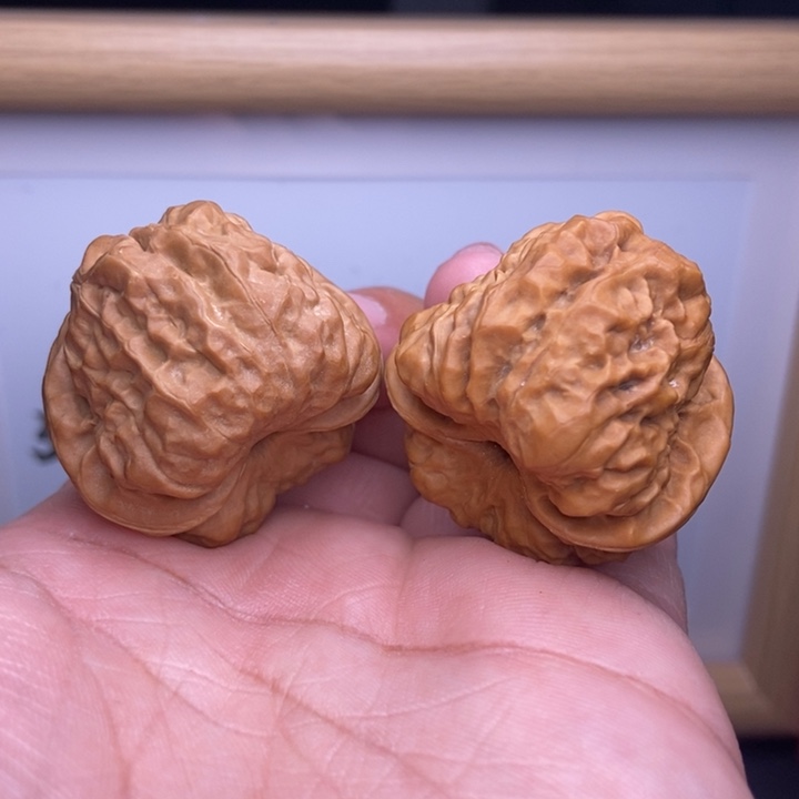 核桃全品小尺蛙蛙