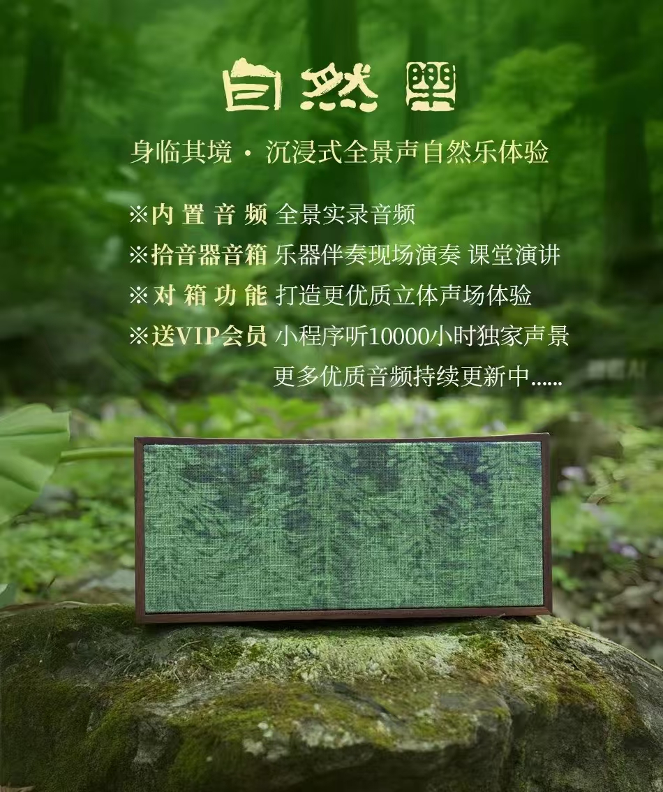 玺藏馆 五音疗愈 瑜珈 放松自然无损白噪音音箱净心音乐器音乐盒