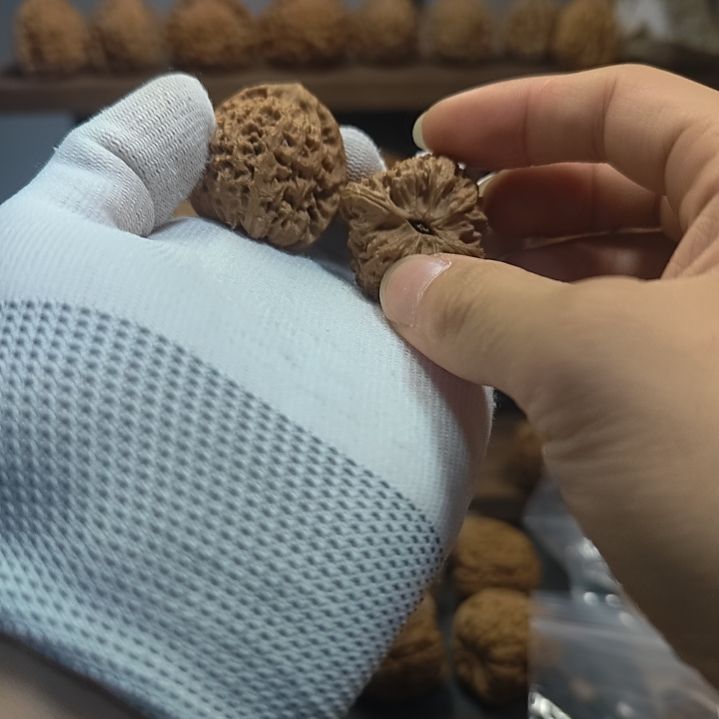 D***.涿鹿南疆石体验对