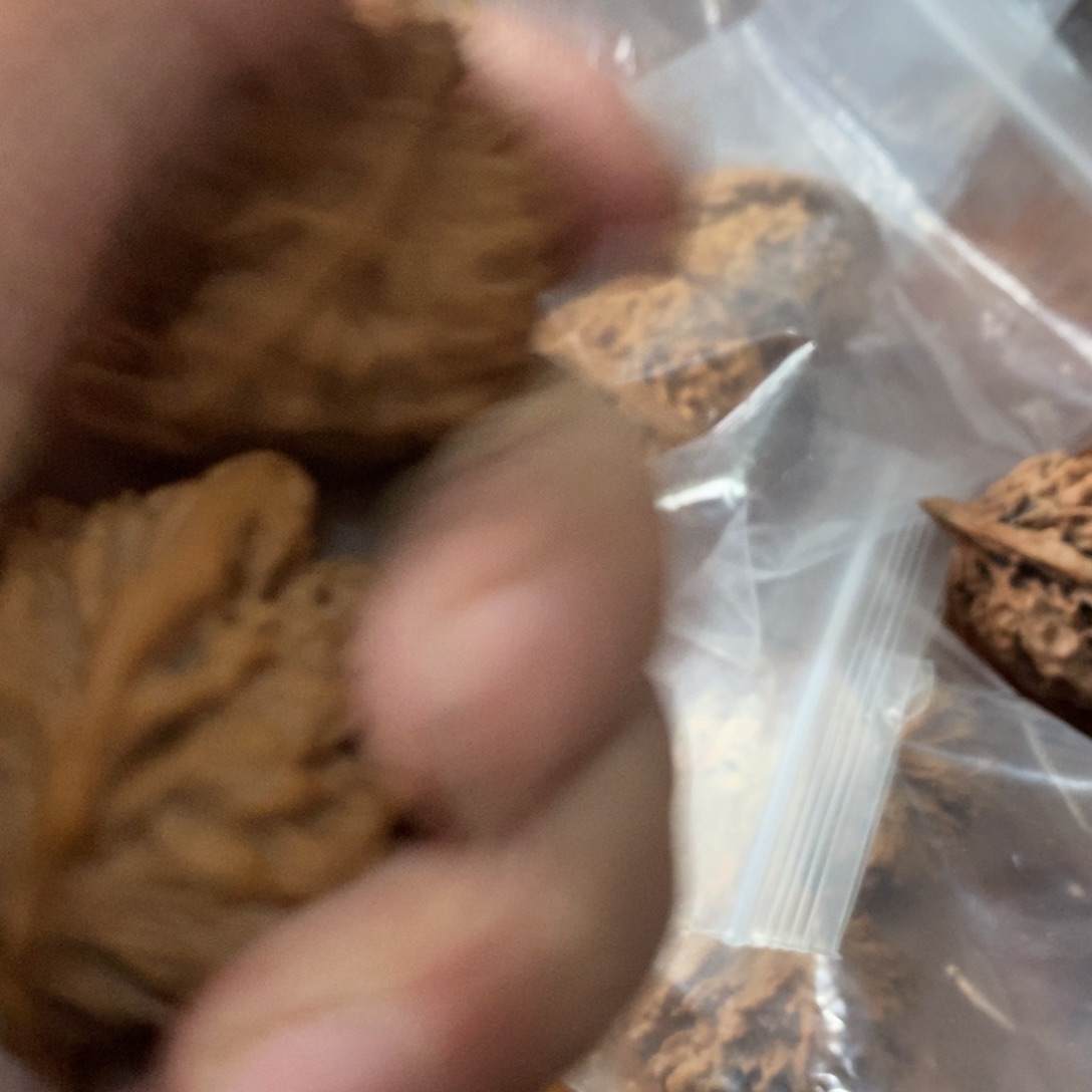 秦岭南侧和东北的山