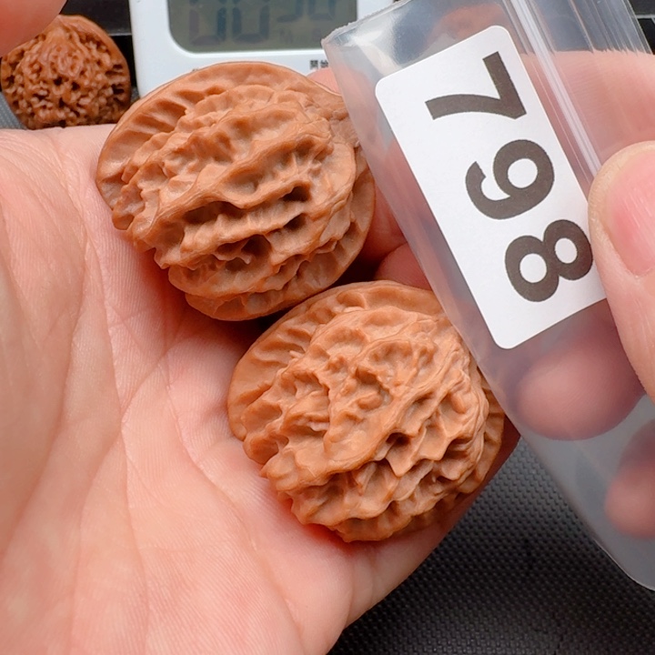 文玩核桃把件无****9大龙