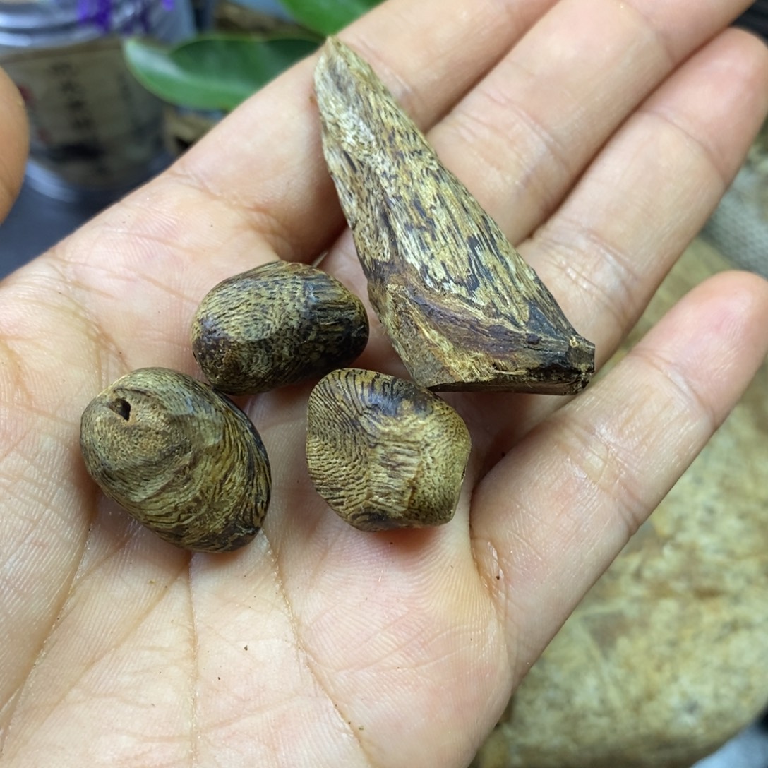 沉香奇楠沉香随形树钉