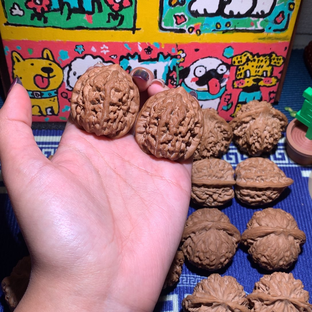 37➕凤凰台603 111111