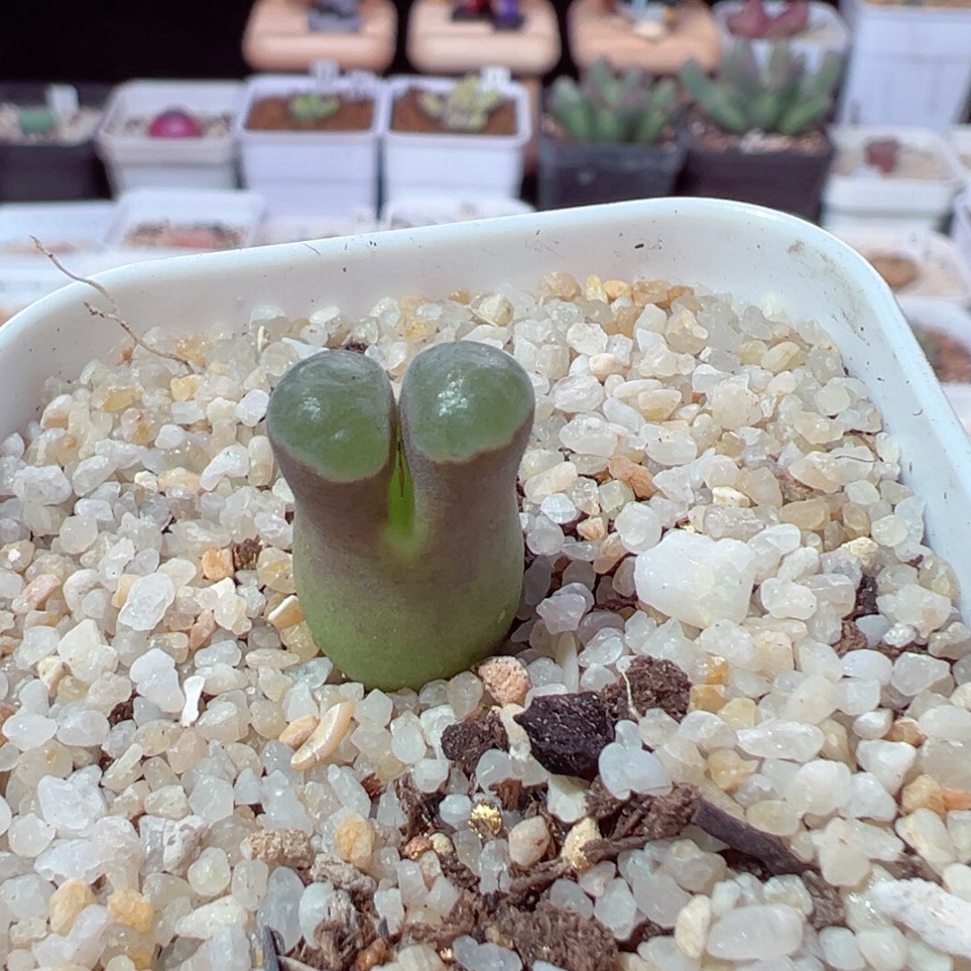 E****.212-508.我的小伙伴