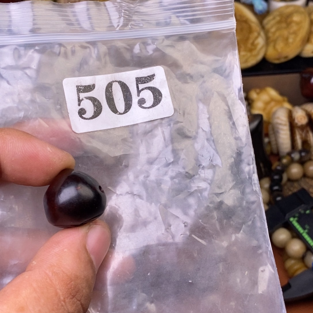 其他驼骨人工样子