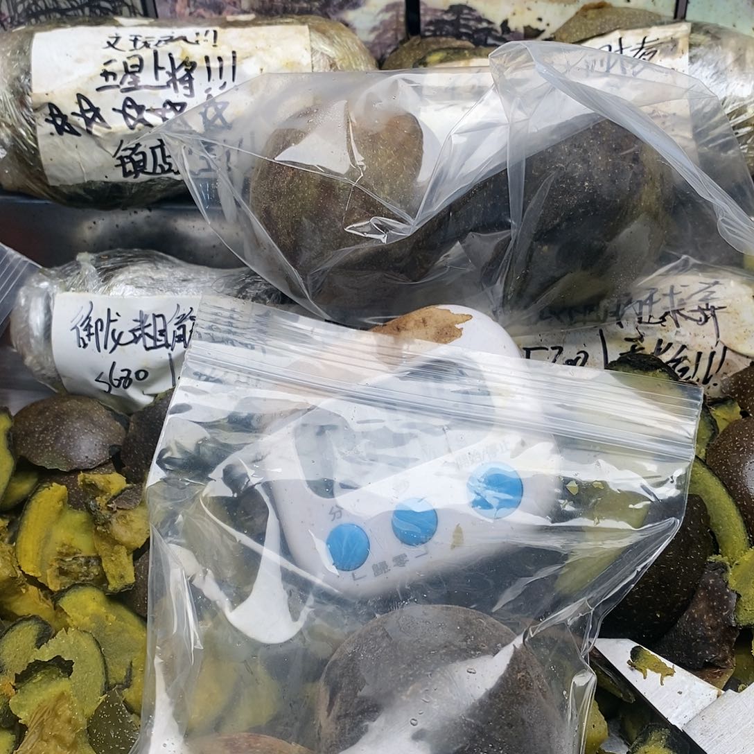 銎***仁顾哈哈就看你姐姐看见姐姐