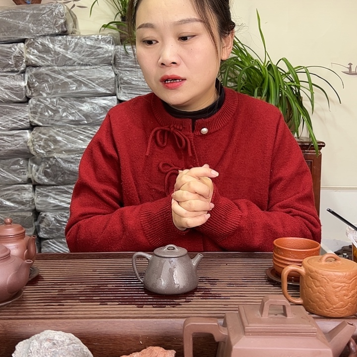 紫砂茶壶宜兴紫砂