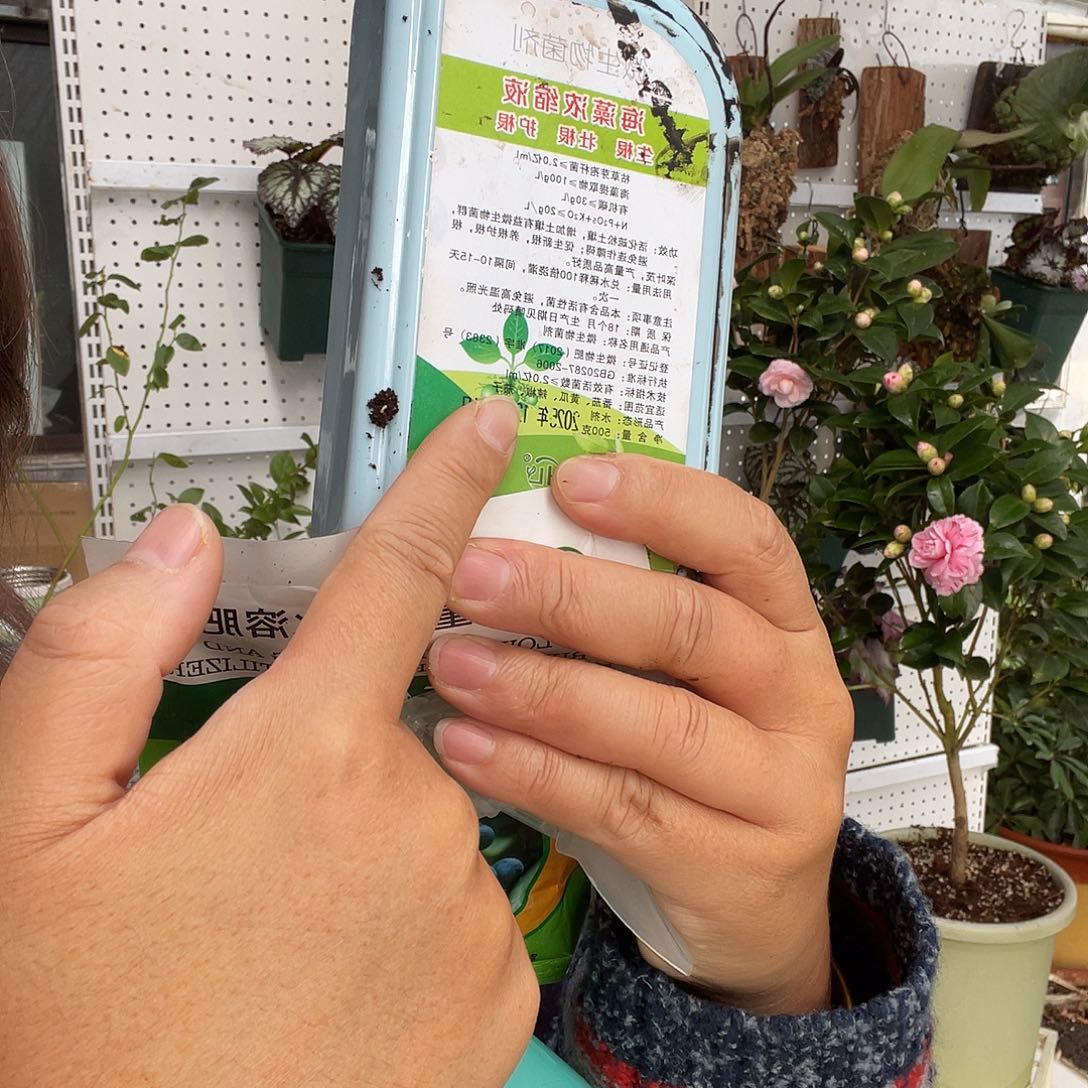 一瓶海藻精送一包促花肥送一个喷壶