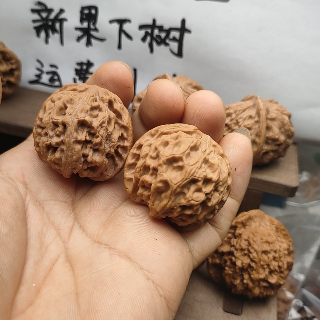 南将石老树新果全品无修
