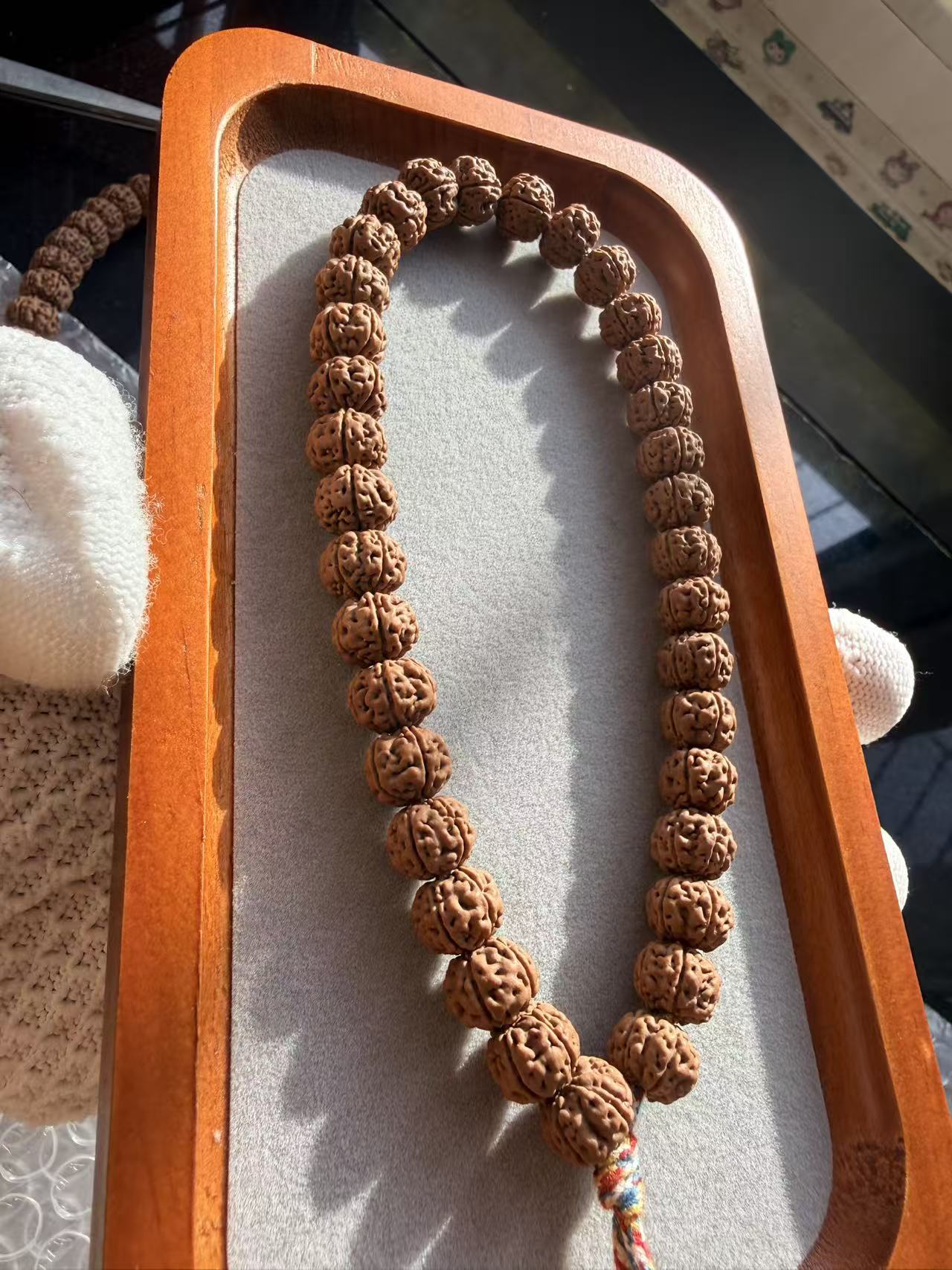 勿里达纯血老树王手持尺寸卡10