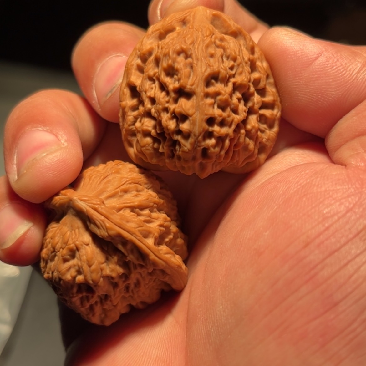 【闪购商品】趙*文玩核桃木制手把件