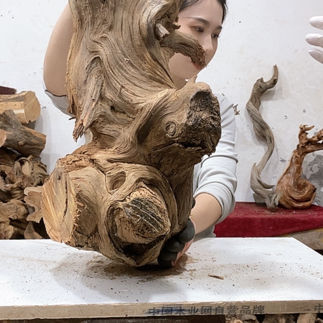 【闪购商品】柏木逗****坊我们都是好孩子