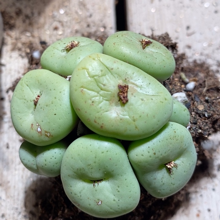 12218一个一个一个