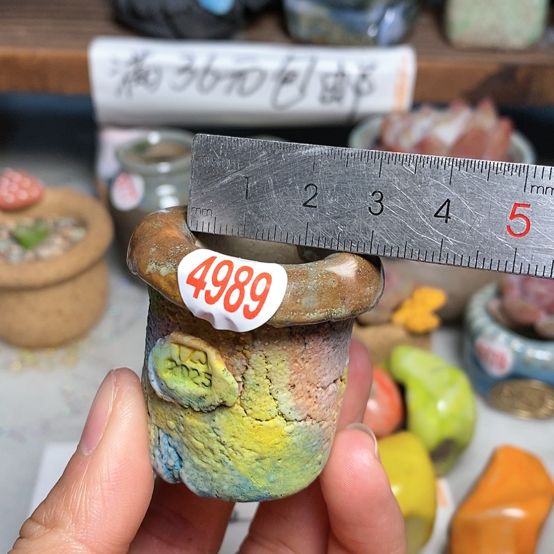 红陶拍5送一个小