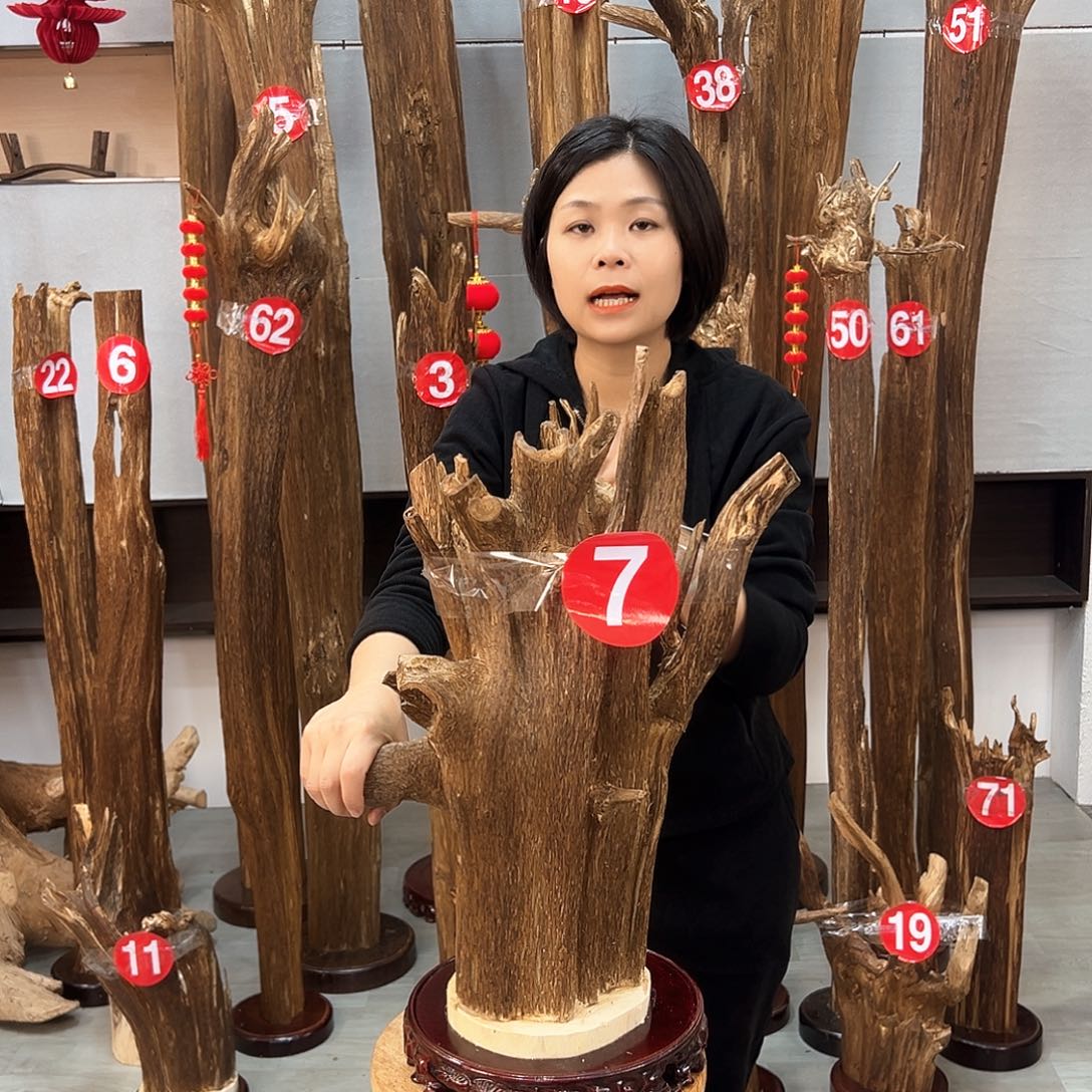 沉香摆件静*沉香摆件