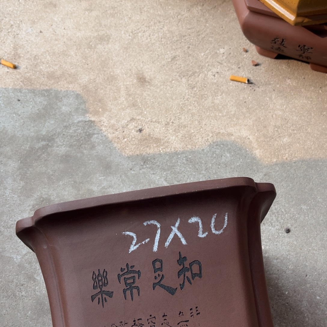 花盆紫砂盆景艺术