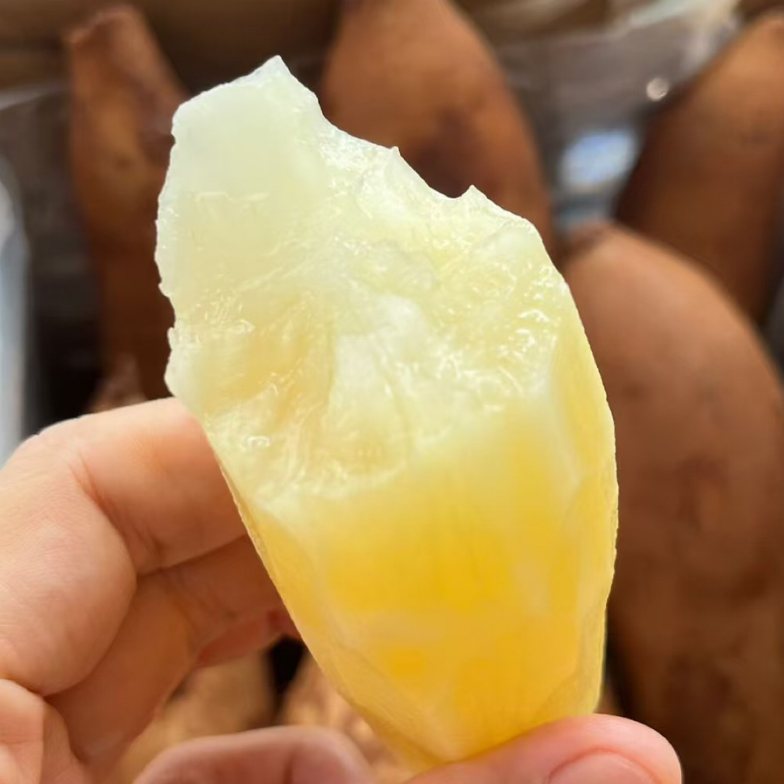 新鲜雪莲果3斤左右