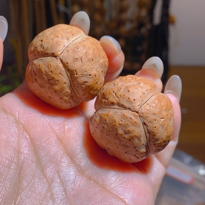 野生三瓣大金刚把件3339