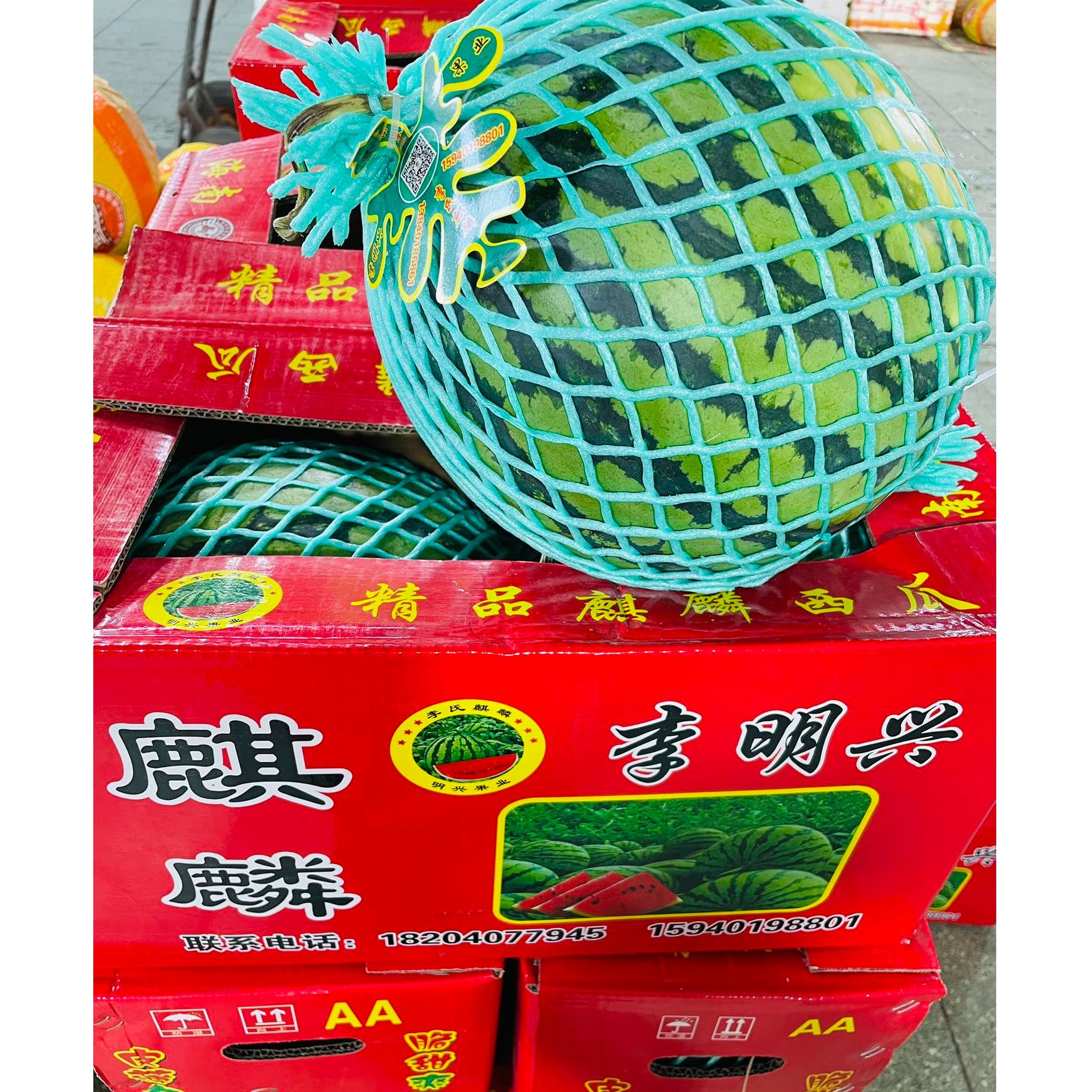 【李明兴麒麟西瓜】北纬18°一刀炸海南省