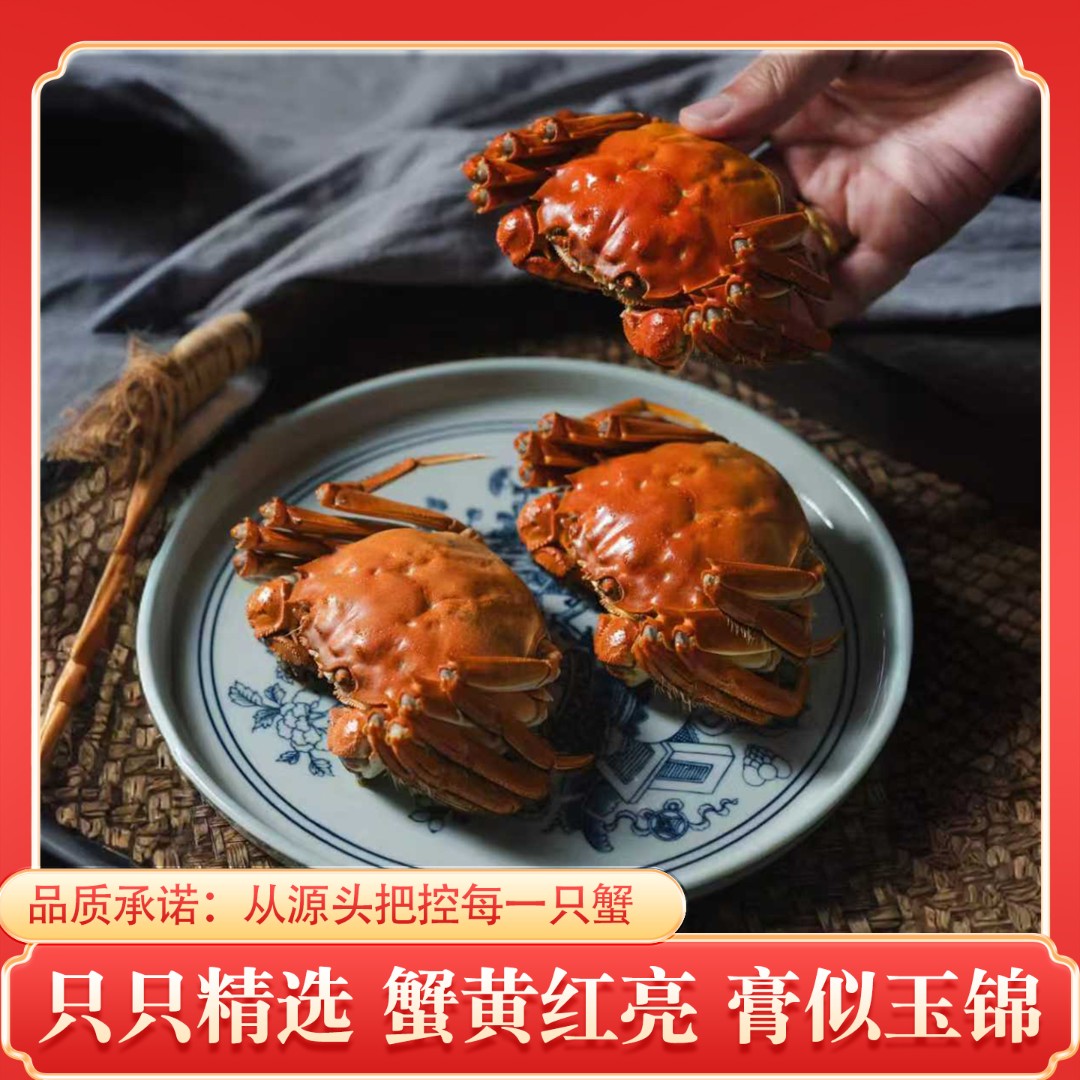 【活蟹】盘锦河蟹1.7-1.4两 母 8只+2-1.7两公8只京东冷链鲜活到家