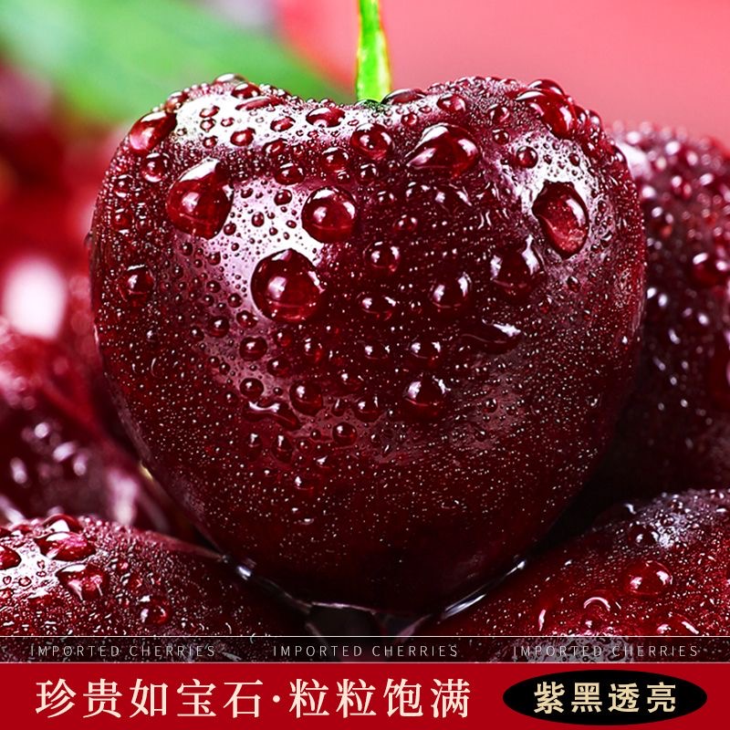 【点点关注】智利进口车厘子 一份XL/斤海运 内附果径卡