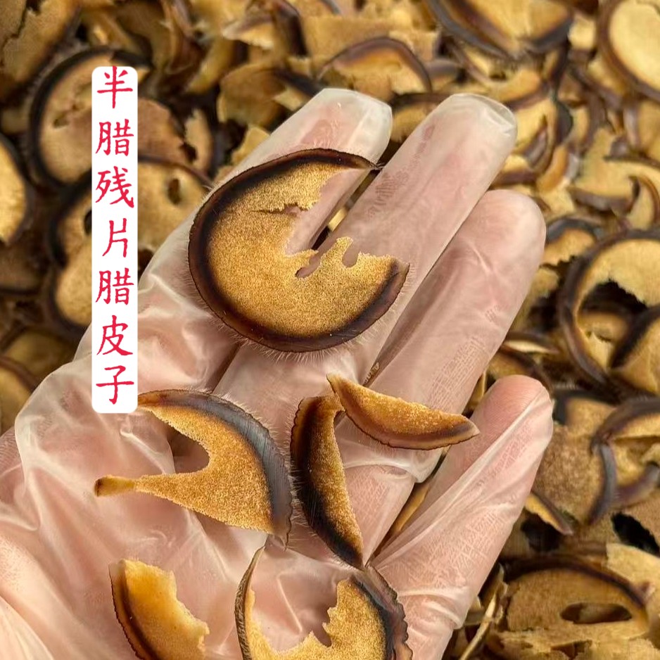 梅花鹿 上段半腊残片腊皮子【含潮】10g口嚼煲汤 泡水 泡酒冷冻保存