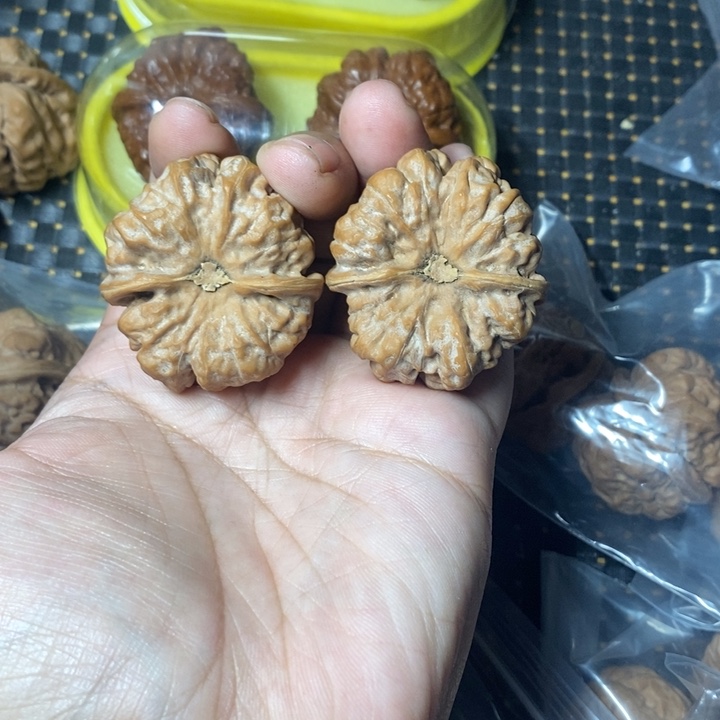 好***海把件文玩核桃蛤蟆40