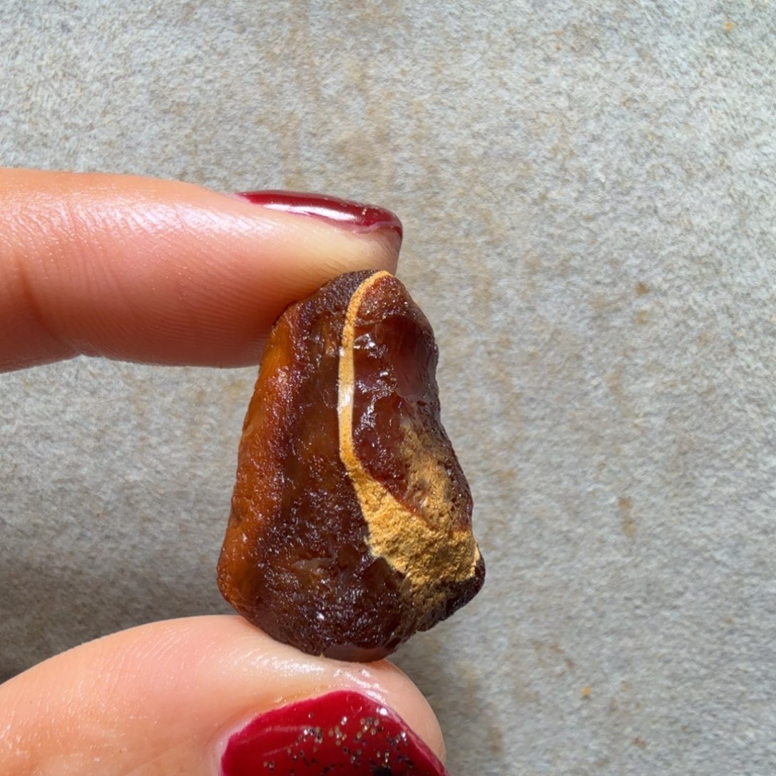 闲***鱼琥珀未镶嵌裸石专拍