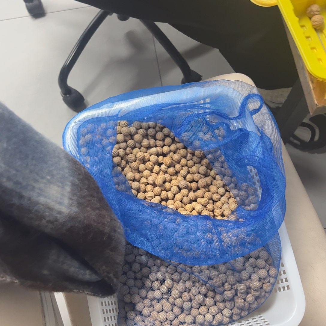 ****。桃核吊坠盘锦奶豆