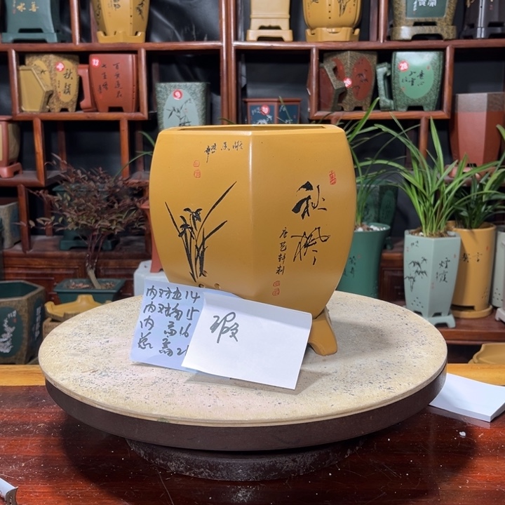 梦*关注陶霸廊精品紫砂